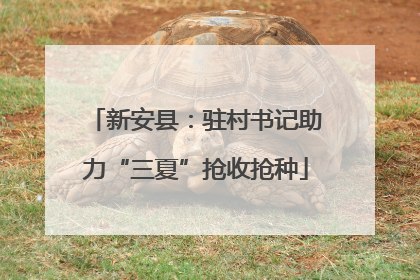 新安县：驻村书记助力“三夏”抢收抢种