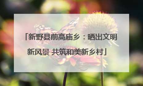 新野县前高庙乡：晒出文明新风景 共筑和美新乡村