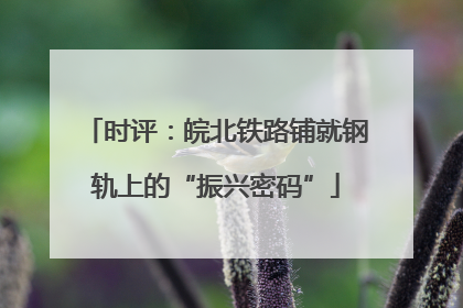 时评：皖北铁路铺就钢轨上的“振兴密码”
