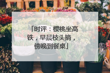 时评：樱桃坐高铁，早晨枝头摘，傍晚到餐桌