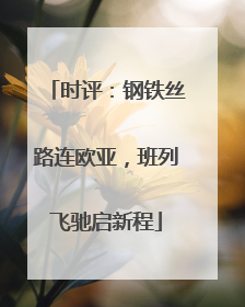 时评：钢铁丝路连欧亚，班列飞驰启新程