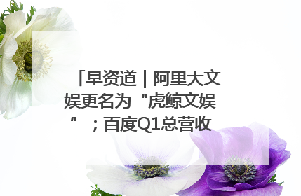 早资道｜阿里大文娱更名为“虎鲸文娱”；百度Q1总营收325亿元超预期