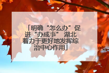明确“怎么办”促进“办成事” 湖北着力于更好地发挥综治中心作用