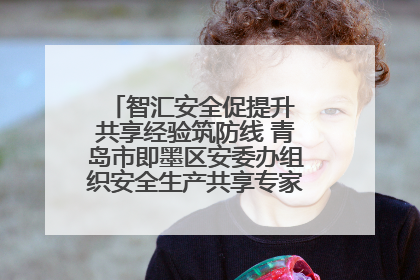 智汇安全促提升 共享经验筑防线 青岛市即墨区安委办组织安全生产共享专家现场观摩学习活动