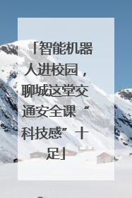 智能机器人进校园，聊城这堂交通安全课“科技感”十足