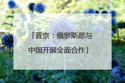 普京：俄罗斯愿与中国开展全面合作