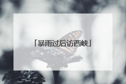 暴雨过后访西峡