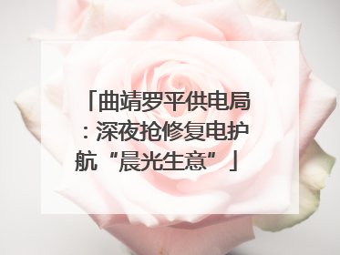 曲靖罗平供电局：深夜抢修复电护航“晨光生意”