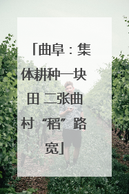 曲阜：集体耕种一块田 二张曲村“稻”路宽