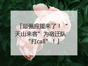最强应援来了！“天山来客”为宿迁队“打call”！