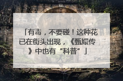 有毒，不要碰！这种花已在街头出现，《甄嬛传》中也有“科普”