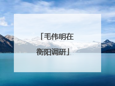 毛伟明在衡阳调研