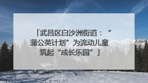 武昌区白沙洲街道：“蒲公英计划”为流动儿童筑起“成长乐园”