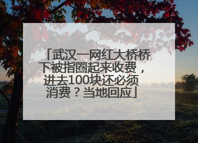 武汉一网红大桥桥下被指圈起来收费，进去100块还必须消费？当地回应