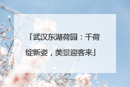 武汉东湖荷园：千荷绽新姿，美景迎客来