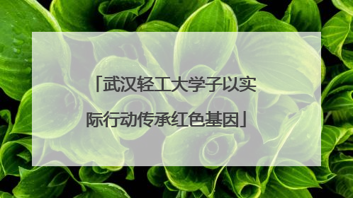 武汉轻工大学子以实际行动传承红色基因