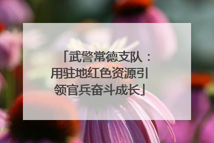 武警常德支队：用驻地红色资源引领官兵奋斗成长