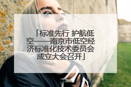 标准先行 护航低空——南京市低空经济标准化技术委员会成立大会召开