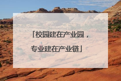 校园建在产业园，专业建在产业链