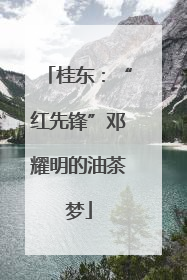 桂东：“红先锋”邓耀明的油茶梦