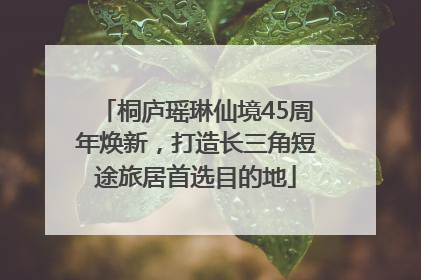 桐庐瑶琳仙境45周年焕新，打造长三角短途旅居首选目的地