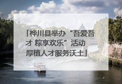 桦川县举办“吾爱吾才 粽享欢乐”活动 厚植人才服务沃土