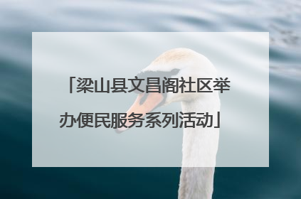 梁山县文昌阁社区举办便民服务系列活动