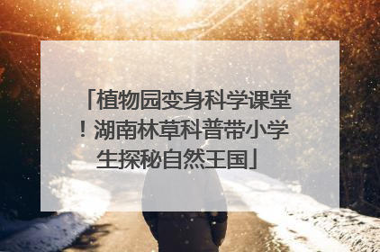植物园变身科学课堂！湖南林草科普带小学生探秘自然王国