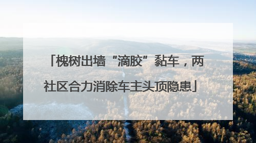 槐树出墙“滴胶”黏车，两社区合力消除车主头顶隐患