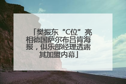 樊振东“C位”亮相德国萨尔布吕肯海报，俱乐部经理透露其加盟内幕