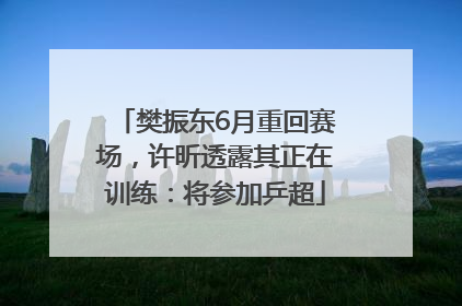 樊振东6月重回赛场，许昕透露其正在训练：将参加乒超