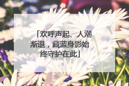 欢呼声起、人潮渐退，藏蓝身影始终守护在此