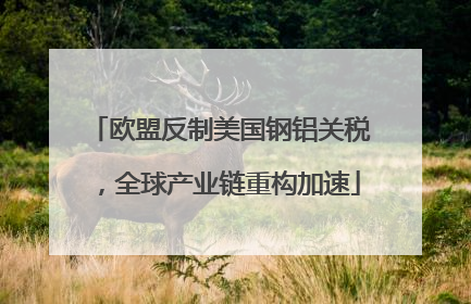欧盟反制美国钢铝关税，全球产业链重构加速