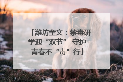 潍坊奎文：禁毒研学迎“双节” 守护青春不“毒”行