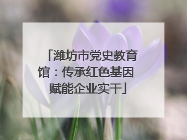 潍坊市党史教育馆：传承红色基因 赋能企业实干
