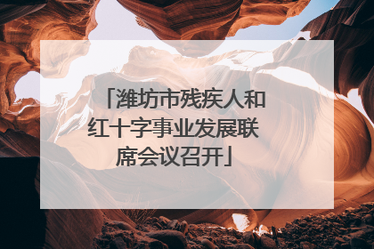 潍坊市残疾人和红十字事业发展联席会议召开