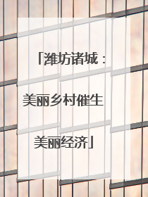 潍坊诸城：美丽乡村催生美丽经济