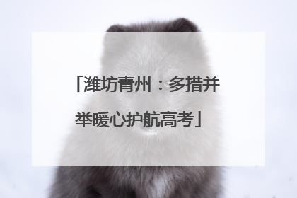 潍坊青州：多措并举暖心护航高考
