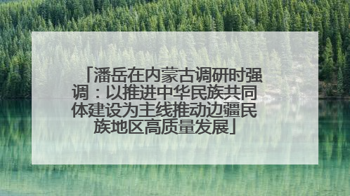 潘岳在内蒙古调研时强调：以推进中华民族共同体建设为主线推动边疆民族地区高质量发展