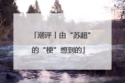 潮评丨由“苏超”的“梗”想到的