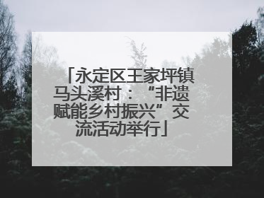 永定区王家坪镇马头溪村：“非遗赋能乡村振兴”交流活动举行