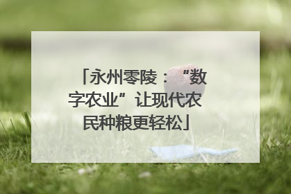 永州零陵：“数字农业”让现代农民种粮更轻松