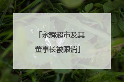 永辉超市及其董事长被限消