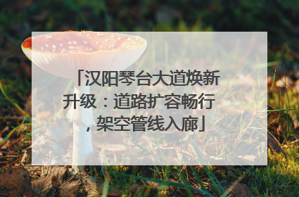 汉阳琴台大道焕新升级：道路扩容畅行，架空管线入廊