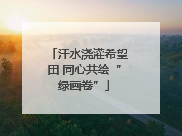 汗水浇灌希望田 同心共绘“绿画卷”