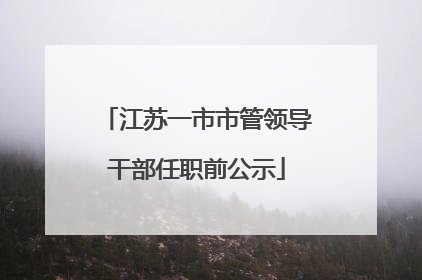 江苏一市市管领导干部任职前公示