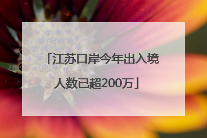江苏口岸今年出入境人数已超200万
