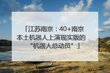 江苏南京：40+南京本土机器人上演现实版的“机器人总动员”
