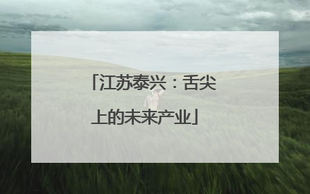 江苏泰兴：舌尖上的未来产业