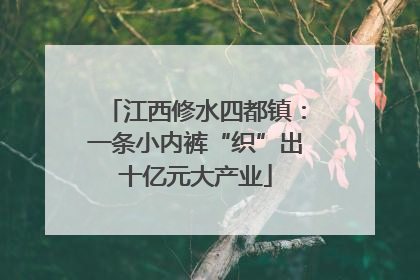 江西修水四都镇：一条小内裤“织”出十亿元大产业
